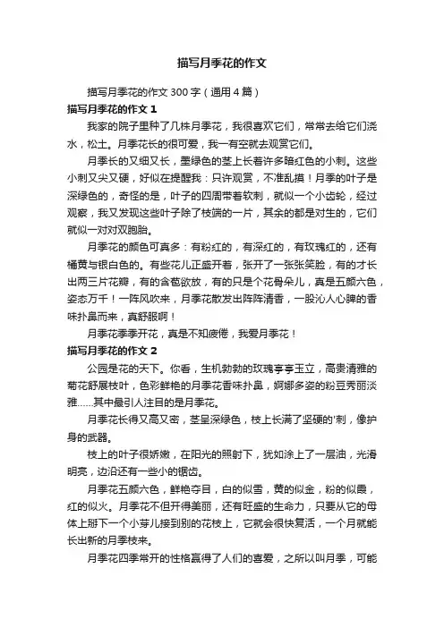 描写月季花的作文300字（通用4篇）