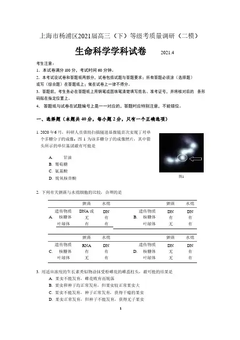 上海市杨浦区2021届高三(下)等级考质量调研(二模)生命科学学科试卷  含答案