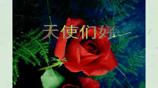 外科感染概述课件