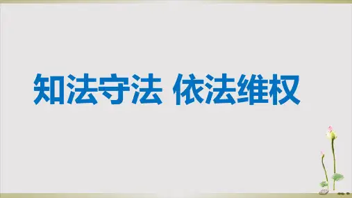 六年级上册道德与法治-知法守法依法维权 人教部编版 PPT课件.