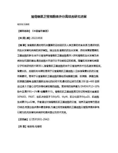 猪骨骼肌卫星细胞体外分离培养研究进展