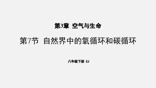 《自然界中的氧循环和碳循环》PPT教学课件