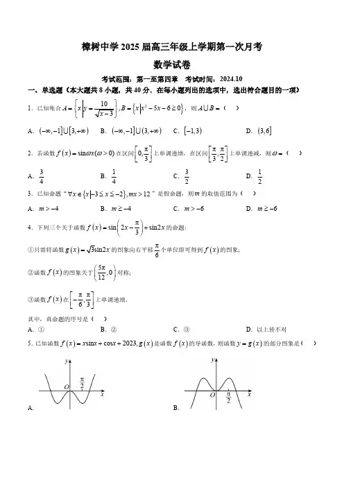 江西省宜春市樟树中学2024-2025学年高三上学期第一次月考数学试题(含答案)