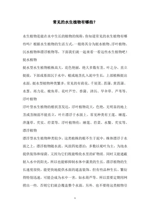 常见的水生植物有哪些？
