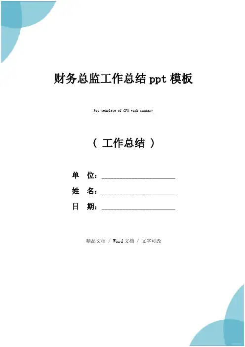 财务总监工作总结ppt模板