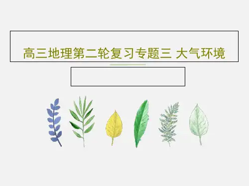 高三地理第二轮复习专题三 大气环境共52页PPT