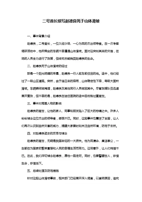 二号首长续写赵德良死于山体滑坡