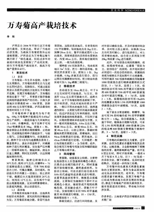 万寿菊高产栽培技术