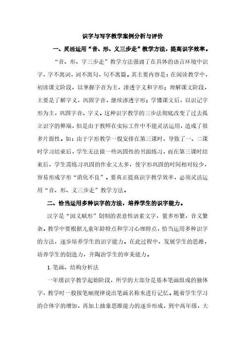 识字与写字教学案例分析与评价