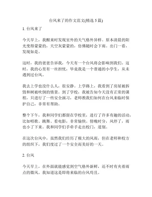 台风来了的作文范文(精选5篇)