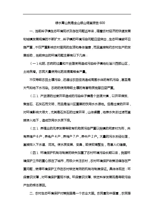 绿水青山就是金山银山调查报告600