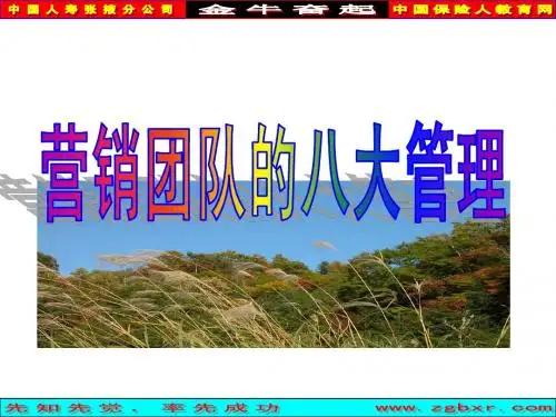 5、营销团队的八大管理