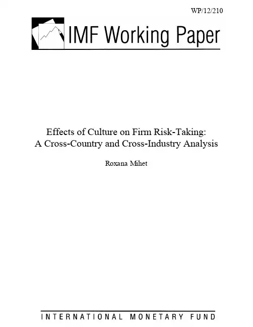 IMF 金融风险,financial risk,英文版