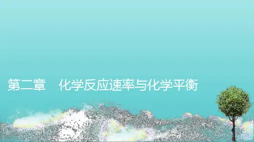 新教材高中化学第2章第1节第1课时化学反应速率课件新人教版选择性必修1ppt