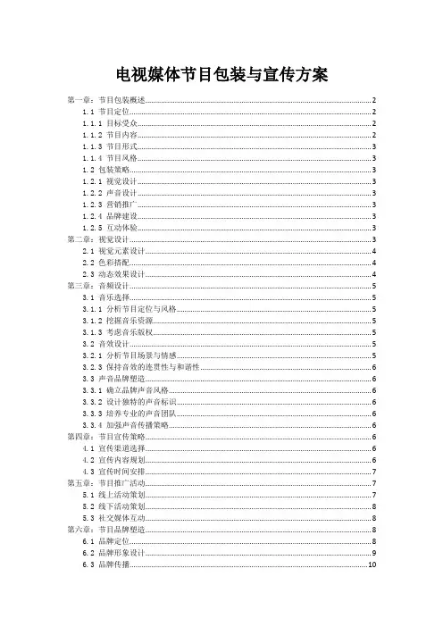 电视媒体节目包装与宣传方案