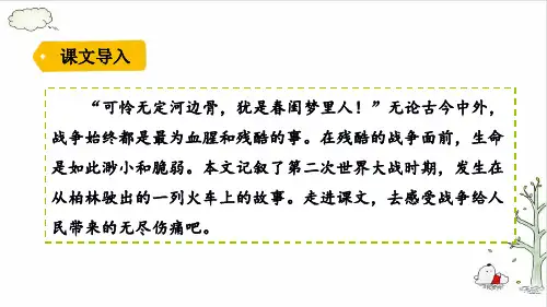 《在柏林》精品课件下载(共21张PPT)