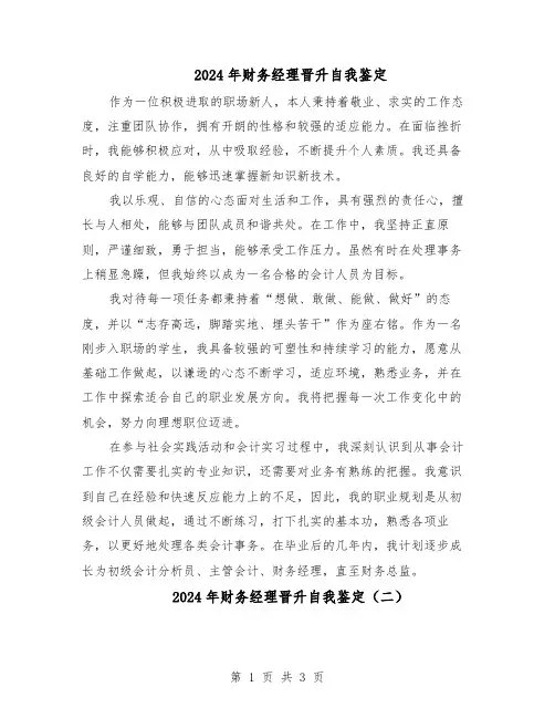 2024年财务经理晋升自我鉴定（二篇）