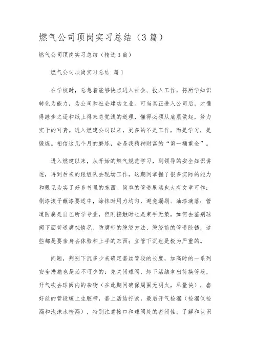 燃气公司顶岗实习总结(3篇)