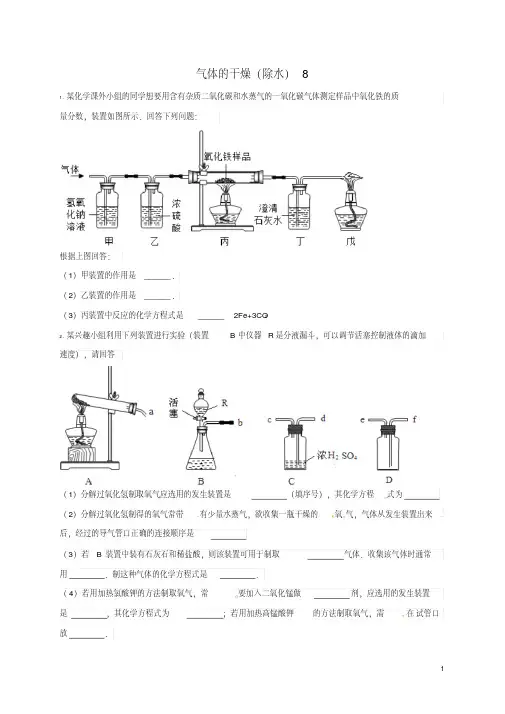 吉林省吉林市中考化学复习练习气体的干燥(除水)8(无答案)新人教版