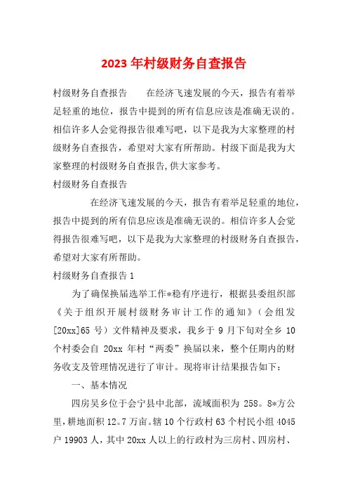 2023年村级财务自查报告