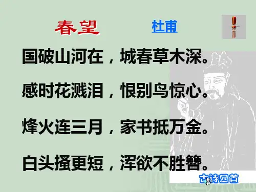 古诗四首春望,过零丁洋