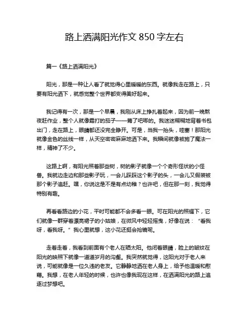 路上洒满阳光作文850字左右