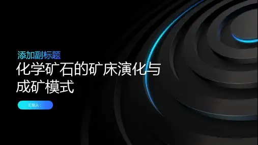 化学矿石的矿床演化与成矿模式