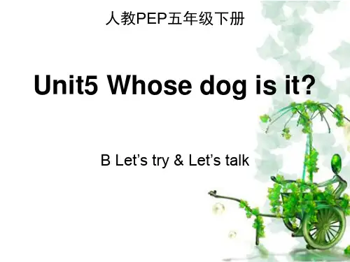 五下Unit5_B_Let’s_talk 课件
