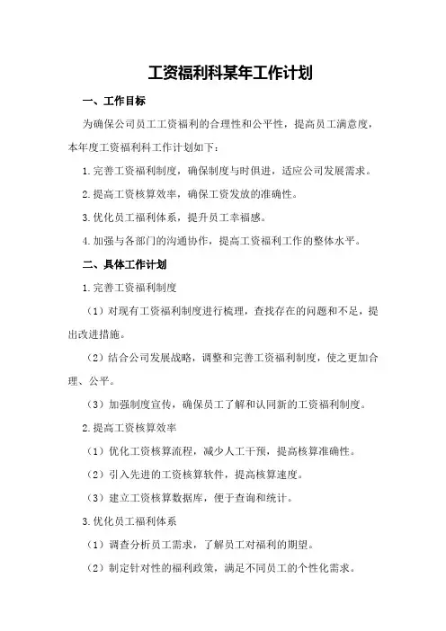 工资福利科某年工作计划