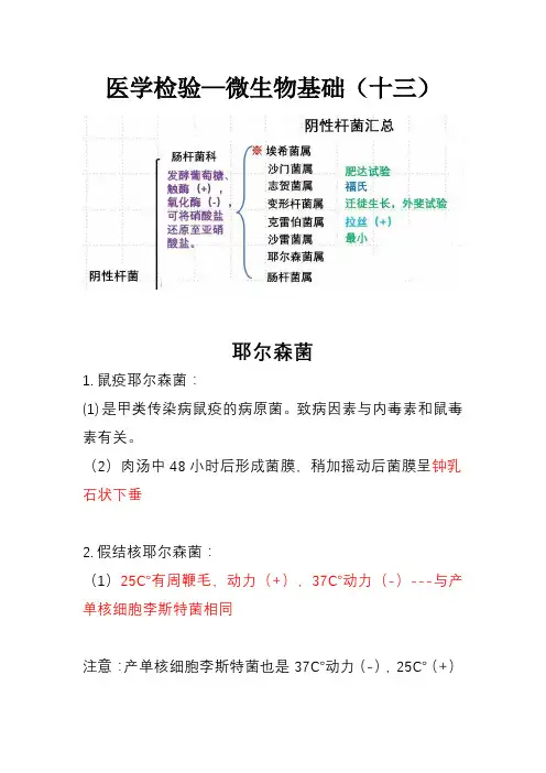 医学检验—微生物基础(十三)