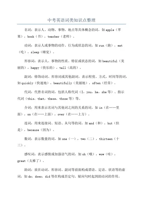 中考英语词类知识点整理