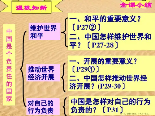 九年级政治 第二课《中国的声音》课件 人民版