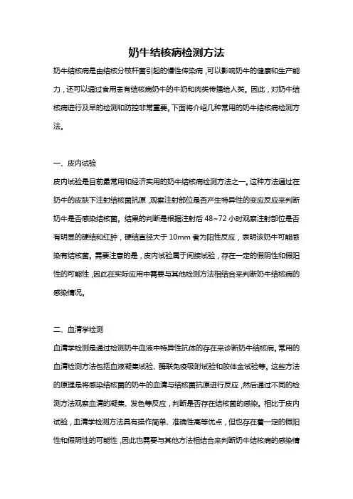 奶牛结核病检测方法