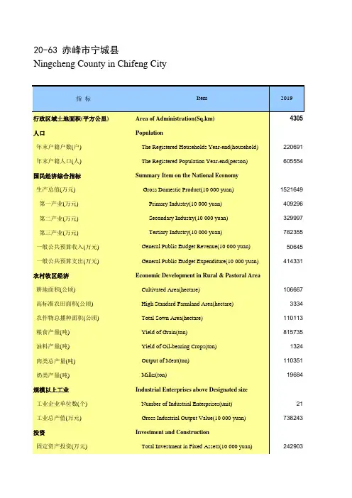 内蒙古统计年鉴2020社会经济发展指标：赤峰市宁城县