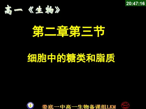 2.3 细胞中的糖类和脂质