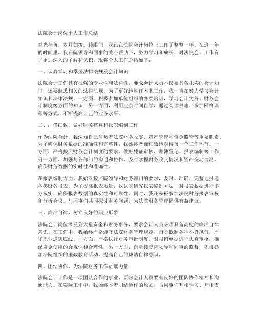 法院会计岗位个人工作总结