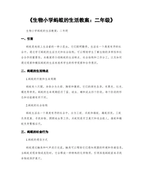 《生物小学蚂蚁的生活教案：二年级》