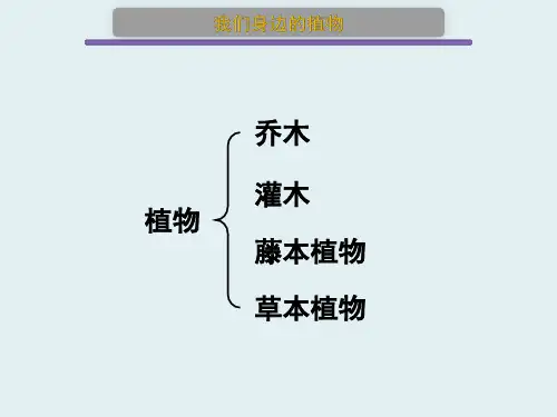 (北京版七上)1.2 认识我们身边的其他生物