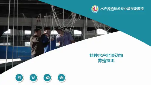 海胆人工育苗设施.pptx