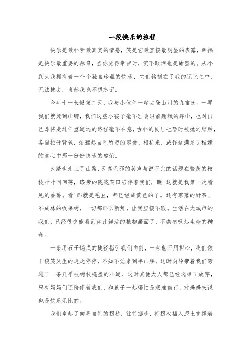 作文一段快乐的旅程800