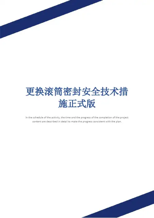 更换滚筒密封安全技术措施正式版