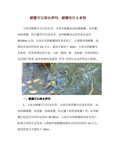螃蟹可以深水养吗,螃蟹吃什么食物