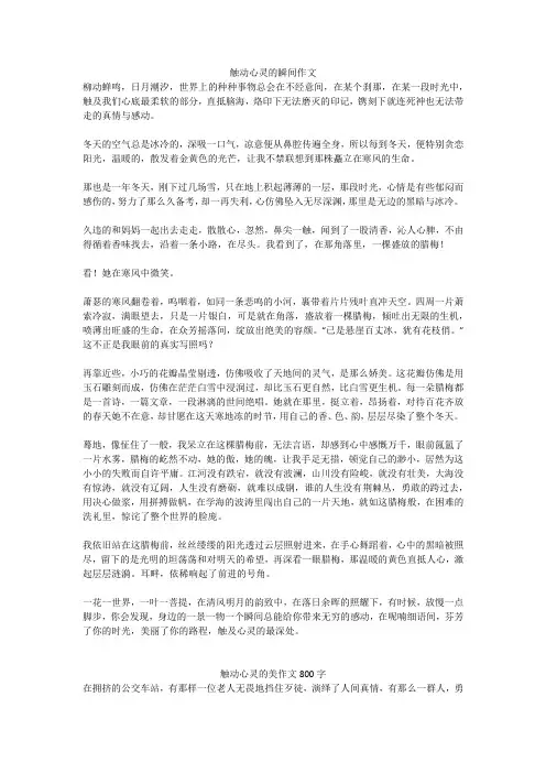 触动心灵的美作文800字