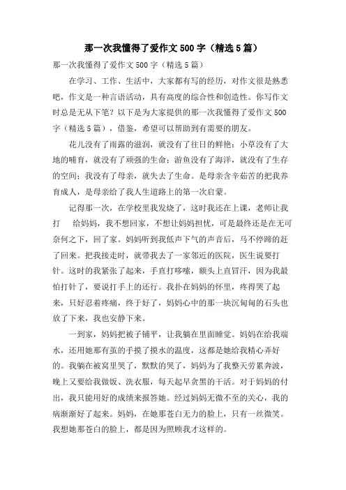 那一次我懂得了爱作文500字(5篇)