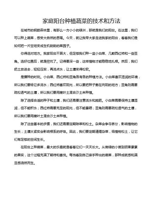 家庭阳台种植蔬菜的技术和方法