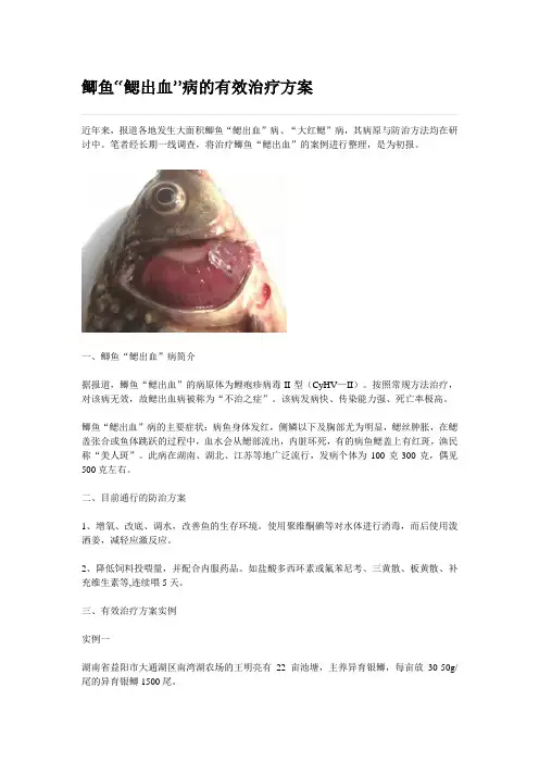 鲫鱼“鳃出血”病的有效治疗方案