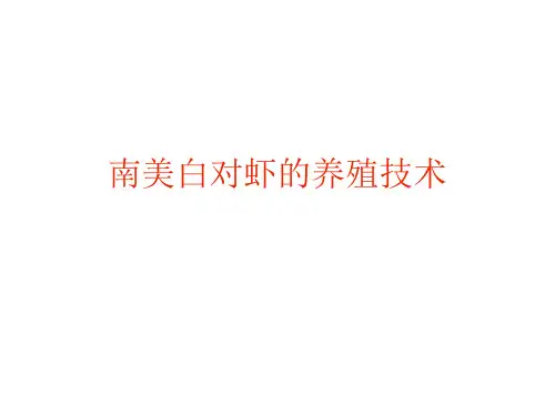 南美白对虾的养殖技术