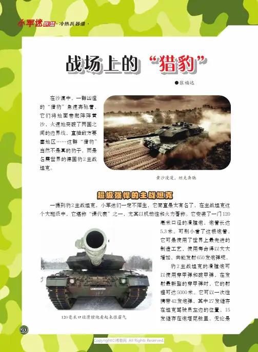 26991820_战场上的“猎豹”