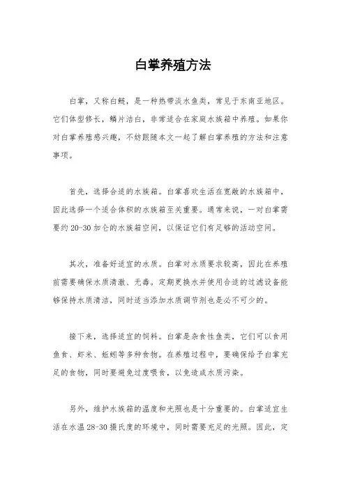 白掌养殖方法