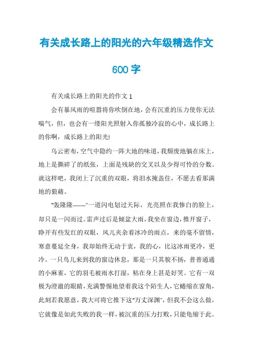 有关成长路上的阳光的六年级精选作文600字